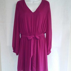 Express Long Sleeve V-Neck Berry Dress Size M